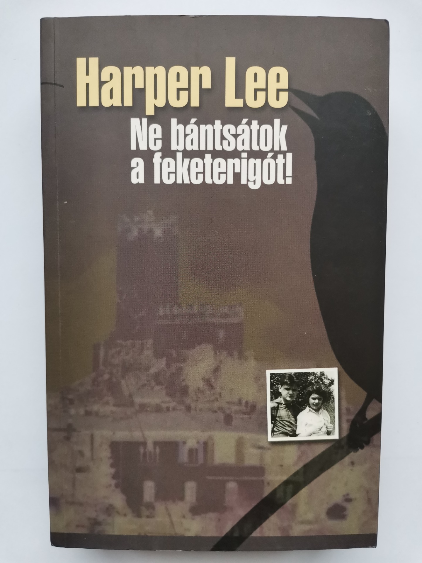 Harper Lee Ne bántsátok a feketerigót!