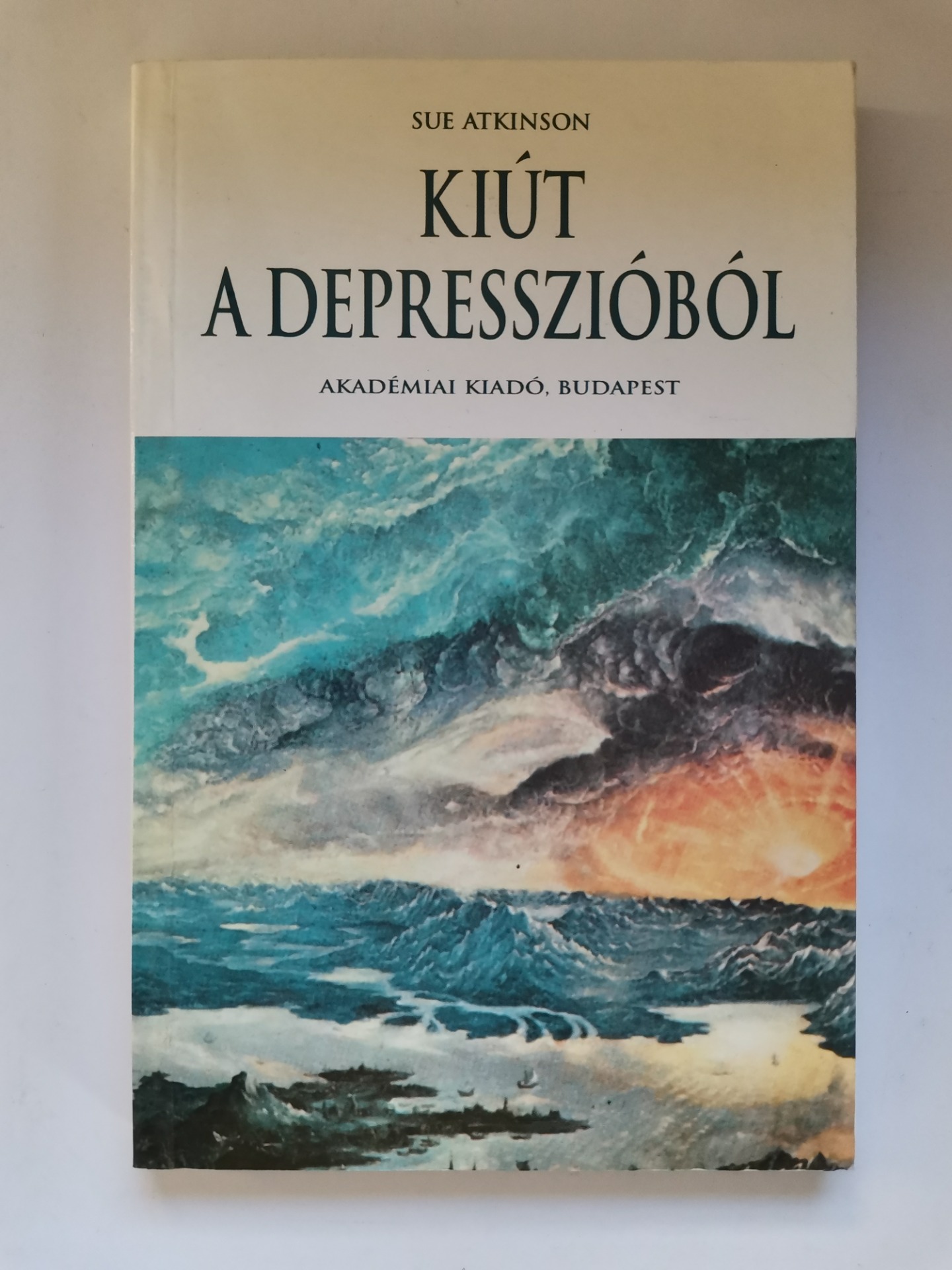 Sue Atkinson: Kiút a depresszióból